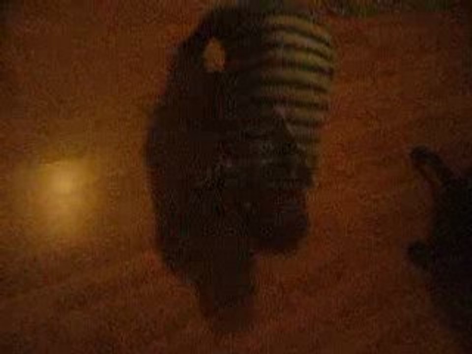 DSCF1254