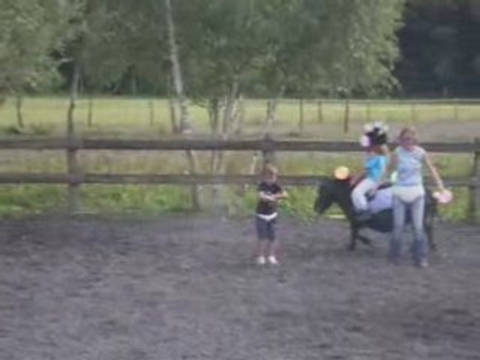Carrousselle poney
