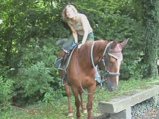 Bénédiction des chevaux à ARTOLSHEIM 15.08.08_0001