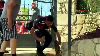 Orman yangınında vücudunun yüzde 40'ı yanan Luna yaşam savaşını kazandı