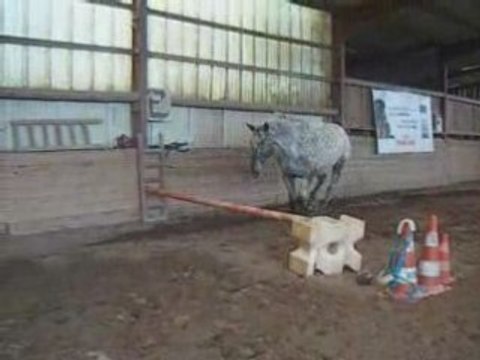 Night saut en liberté