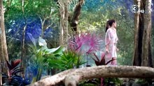 อุบัติรักเกาะสวรรค์ ตอนที่ 14 (EP.14)