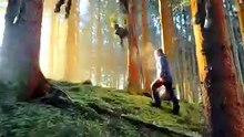 SpinningMule - #funnyanimals #pets #fyp #SpinningMule