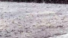 Rain#