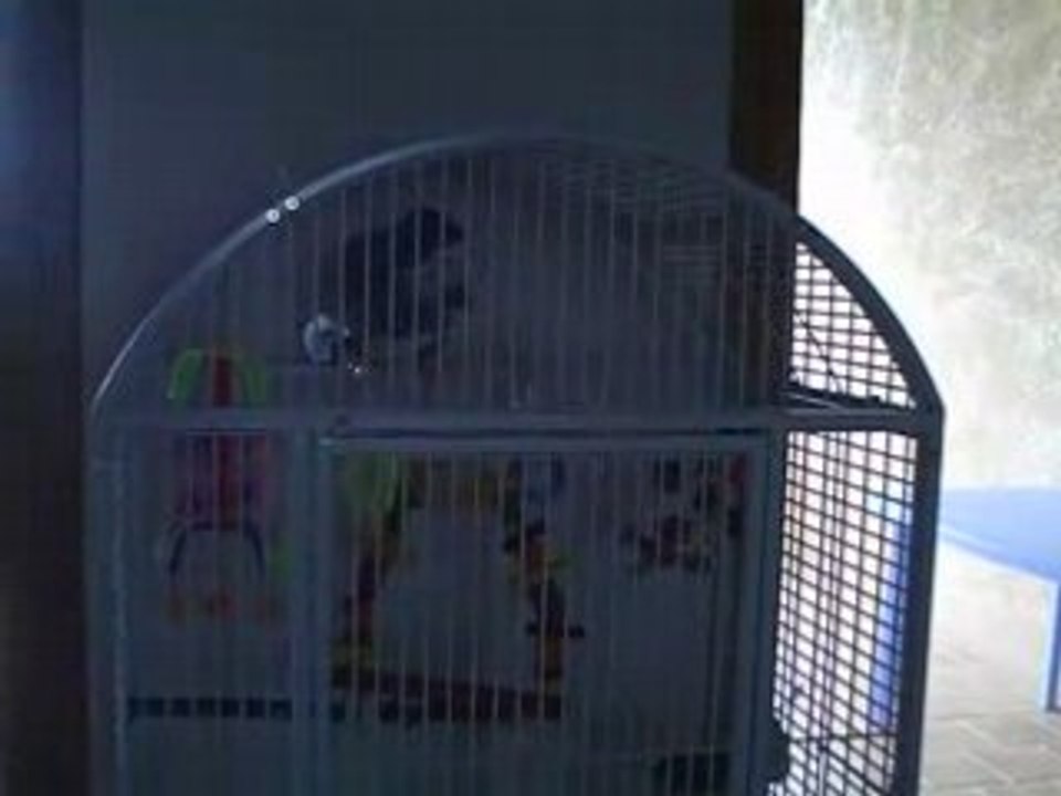 CLIP0001