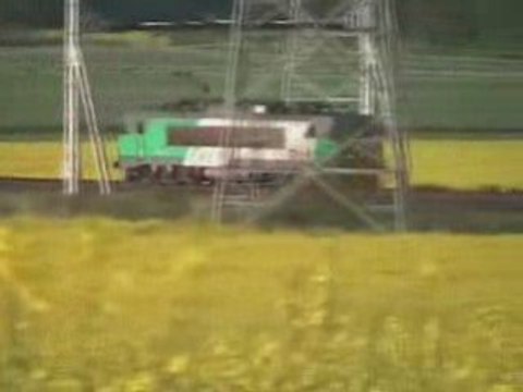 Colzas printanniers et BB HLP