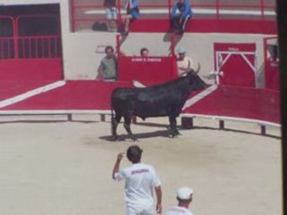 Course taurine à Pérols 14-07-2008