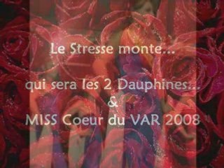 9- Miss coeur du var 2008