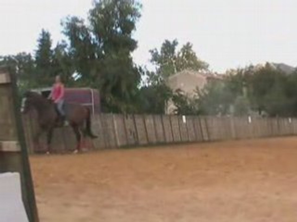 seance dressage 19 aout 2008