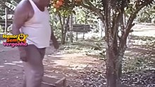 Geração Antiga