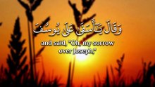 ﴿ وَتَوَلّى عَنهُم وَقالَ يا أَسَفى عَلى يوسُفَ وَابيَضَّت عَيناهُ مِنَ الحُزنِ فَهُوَ كَظيمٌ ﴾