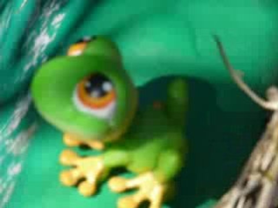 PetS shop - aveC Sonia & Jenna