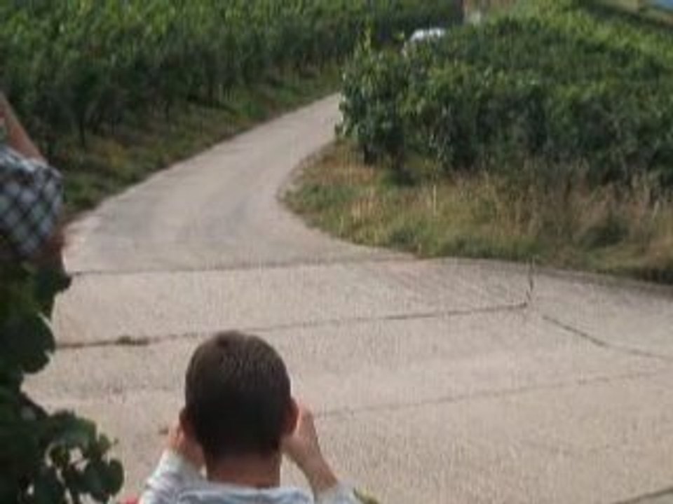 Sebastien Loeb adac 2008