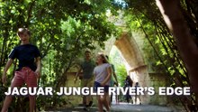 Jaguar Jungle River's Edge