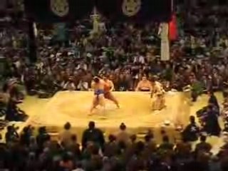 COMBAT DE SUMO A OSAKA  相撲 6/8