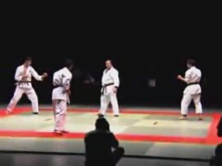 demo karate