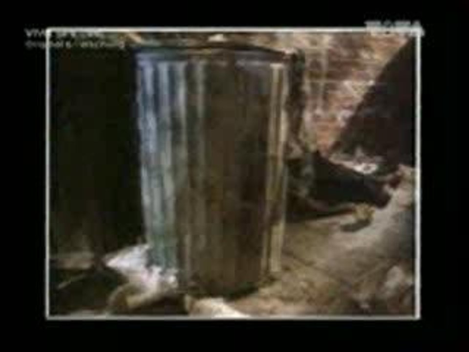 Billie Jean - Original und Fälschung