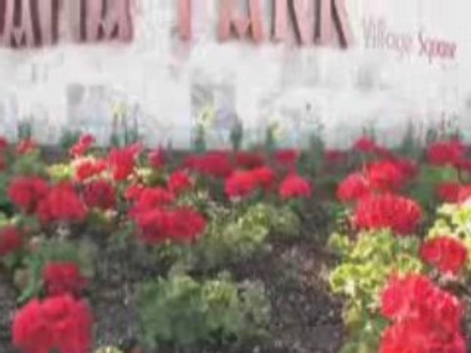 Val Vista Lakes, Gilbert Arizona, Val Vista Lakes AZ Realtor