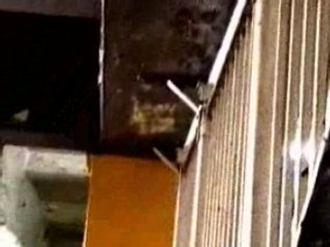 Timedrifts & Distortions