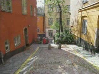 Vacker flicka - söt hund