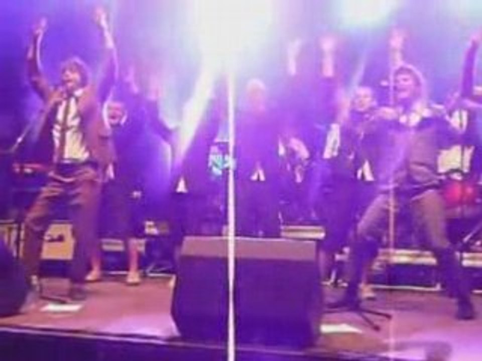 Mes Aïeux  Ministère Magouille Dinan 2008 Remède Miracle