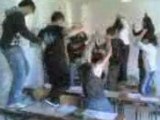 Si balla in classe scuola zoo