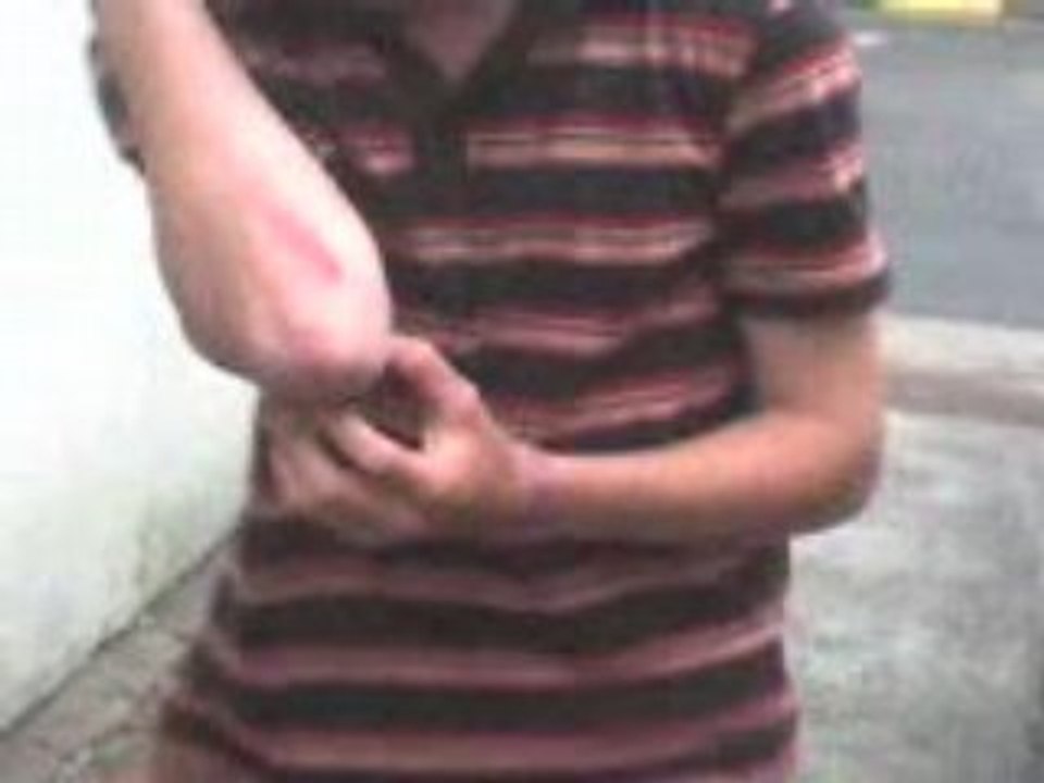 La cascade en velo de julien