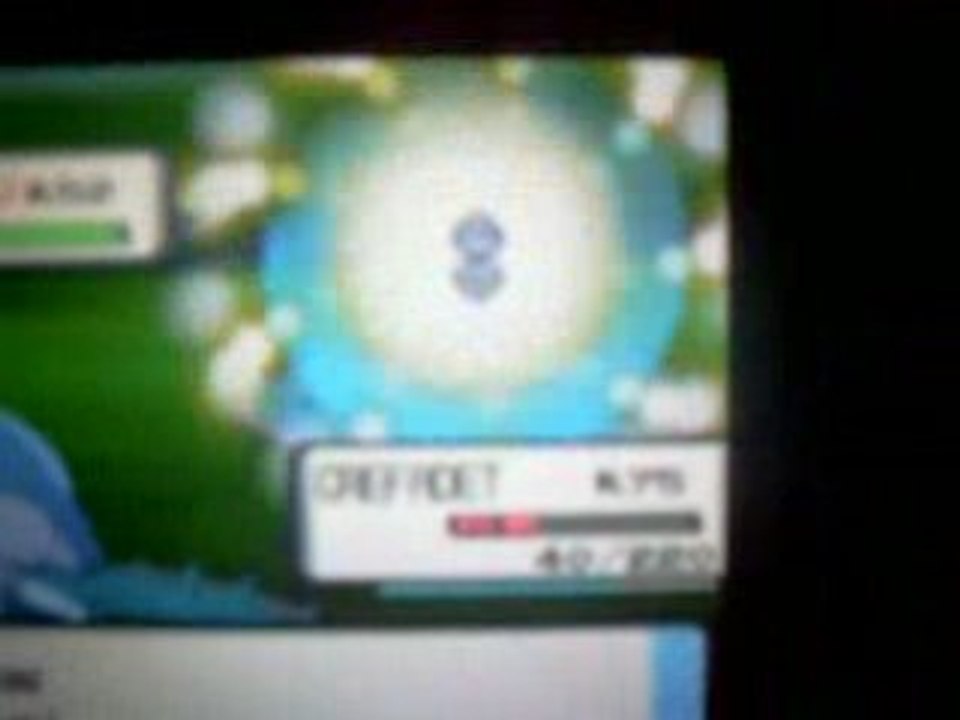 Rencontre avec le scarabée blue