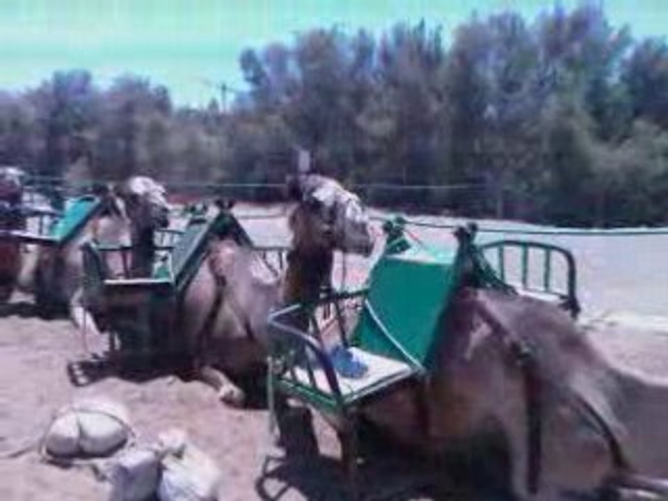 suite vacances maspalomas