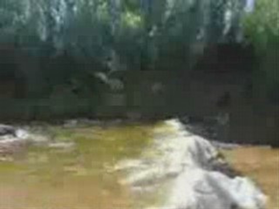 Saut de l'extrem 1