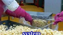 Korean Factory Use 4,000 Chickens Every Day