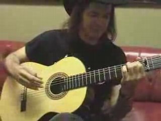 Nylon-string Acoustic Guitar Robert Earl Longley FPE-TV