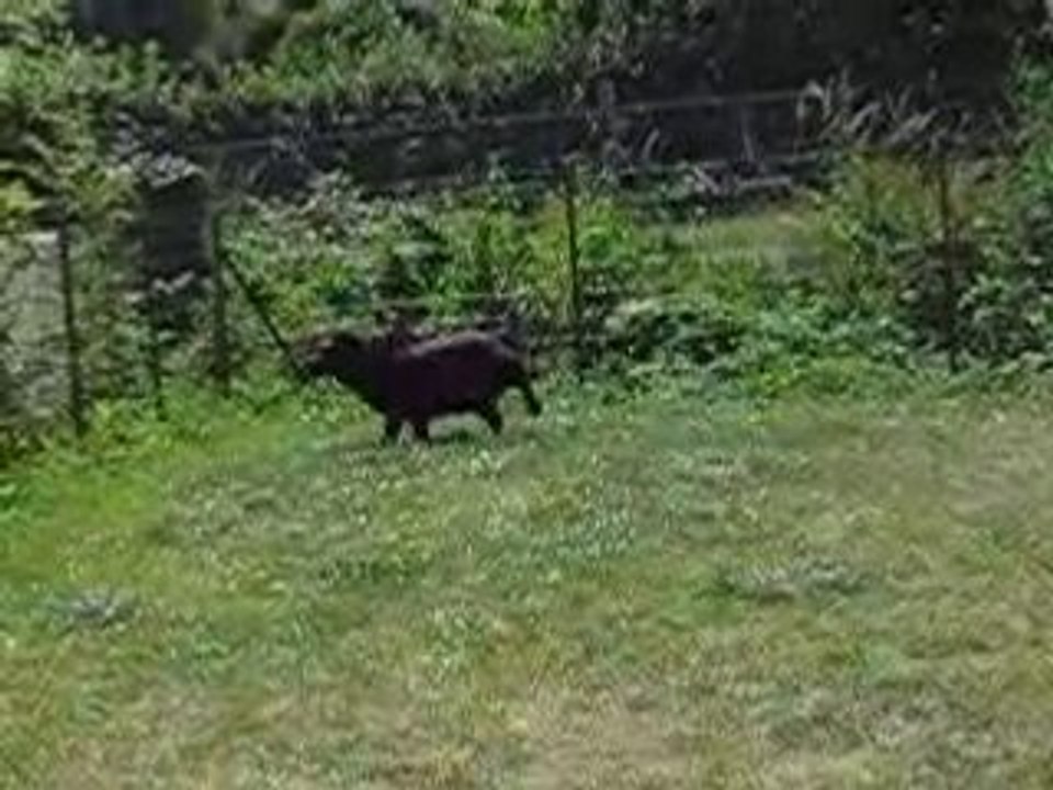 Photo 080