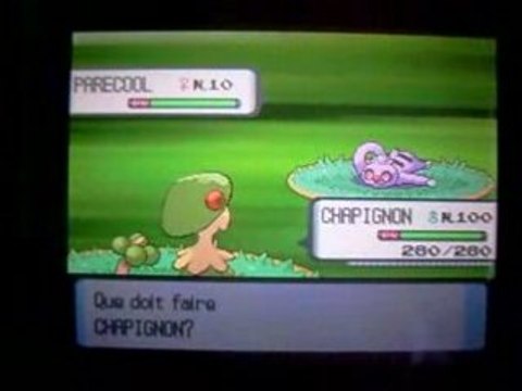 Rencontre pokeradar avec parecool shiney