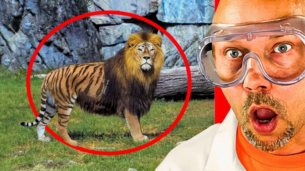 Animales híbridos INCREÍBLES que SÍ existieron! - Vídeo Dailymotion