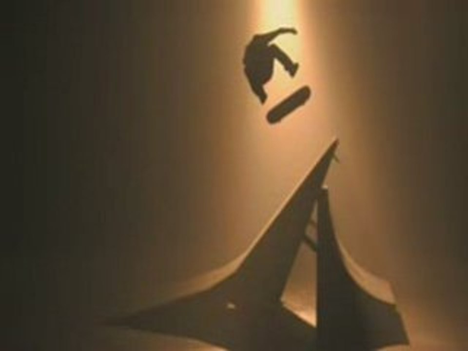 DVS Skate & Create