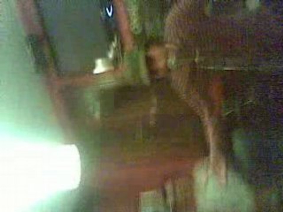 Inchallah & Amazigh " Gnawa Diffusion "