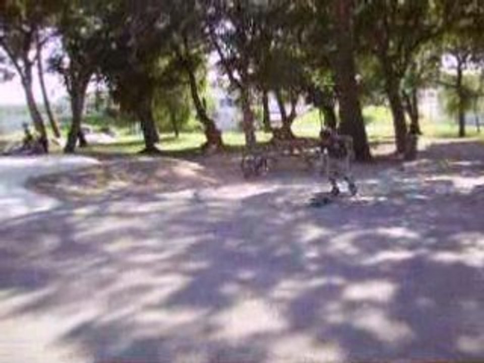 skate 2