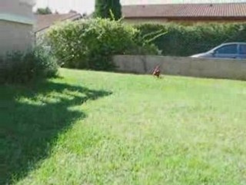 Ciska et Biki chez marie