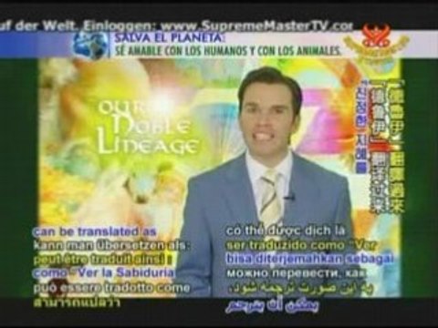 Druids: The Seers of True Wisdom