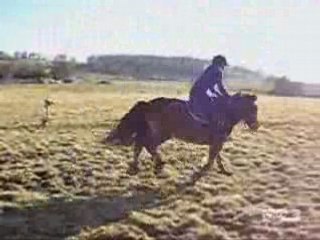 saut ponette