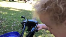 Reborn Toddler Mitchell is in BIG TROUBLE_ He Crashed into a tree