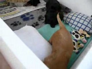 21 aout (113)_converted