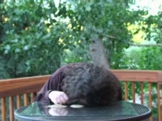 How Many Stars Are There?