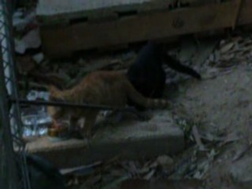LOS DOS COMIENDO