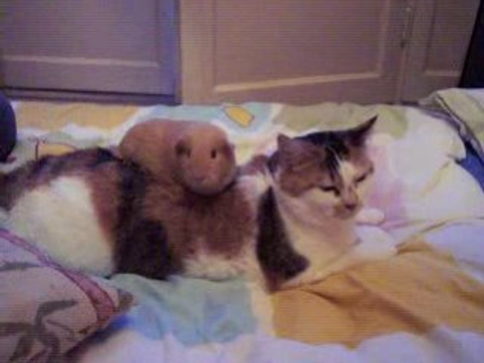 Photo 002