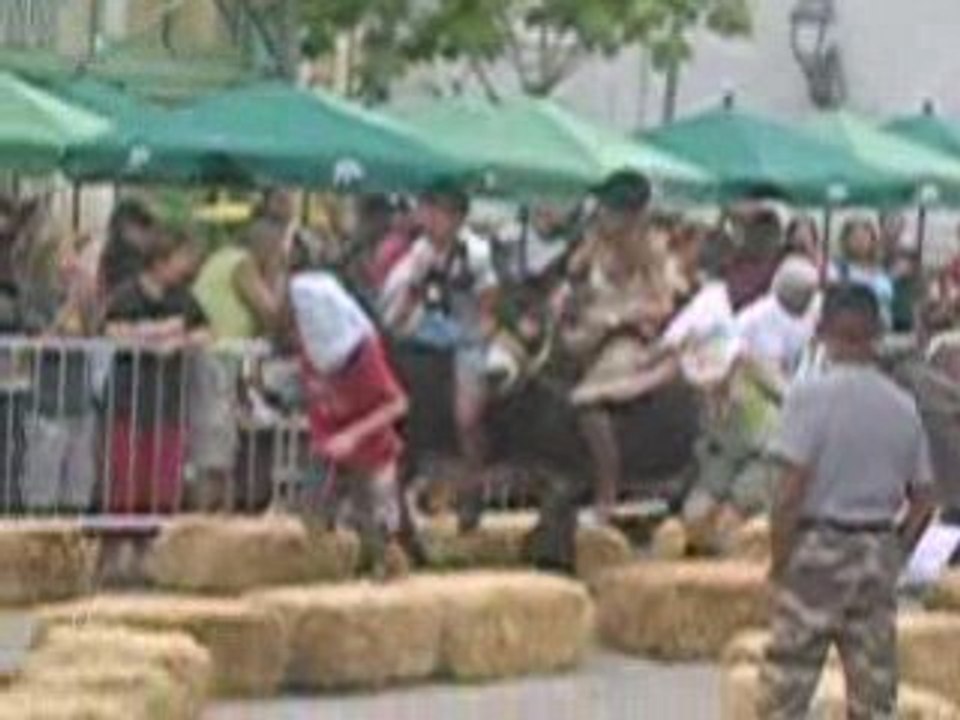 Saint-Eloi 2008 le Samedi 16 Août 2008 {6}