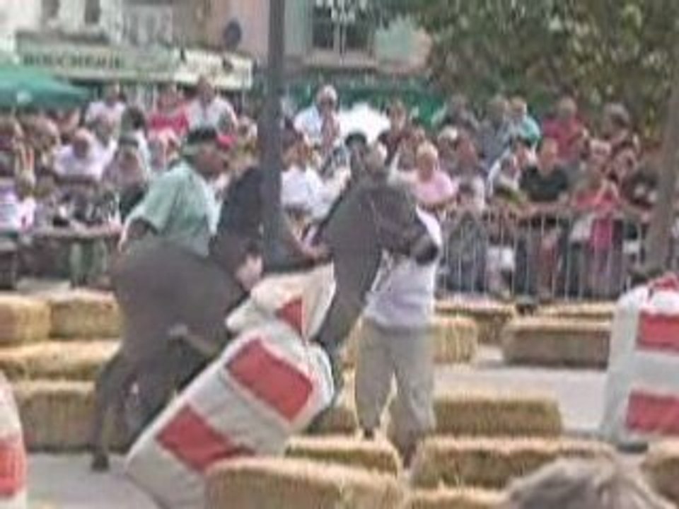 Saint-Eloi 2008 le Samedi 16 Août 2008 {4}