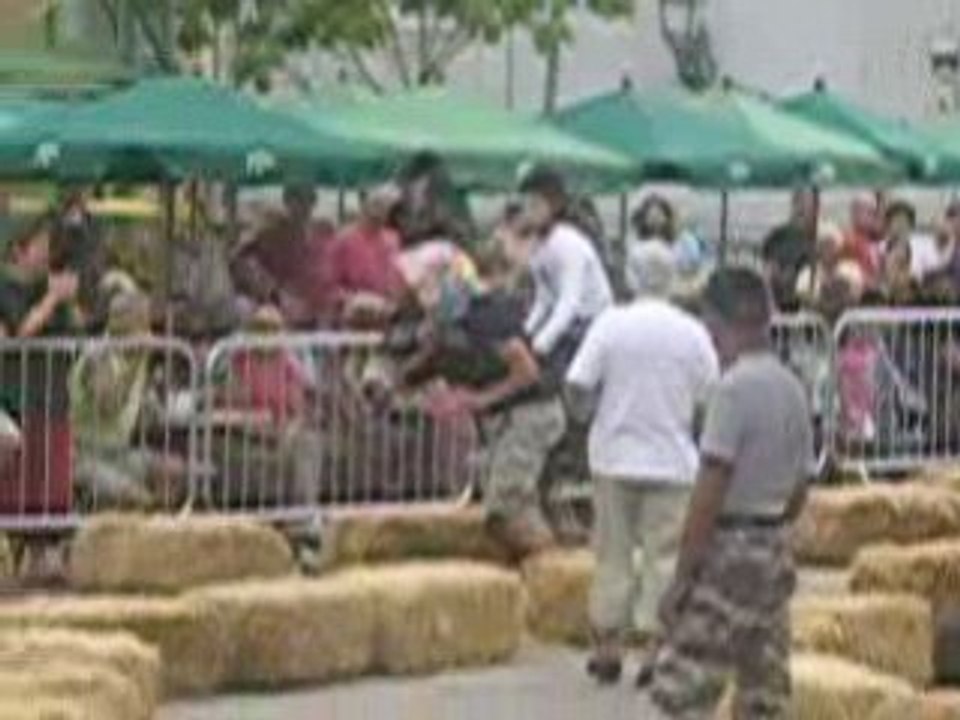 Saint-Eloi 2008 le Samedi 16 Août 2008 {7}