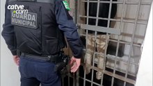 Homem de 33 anos é preso com motocicleta furtada em Toledo